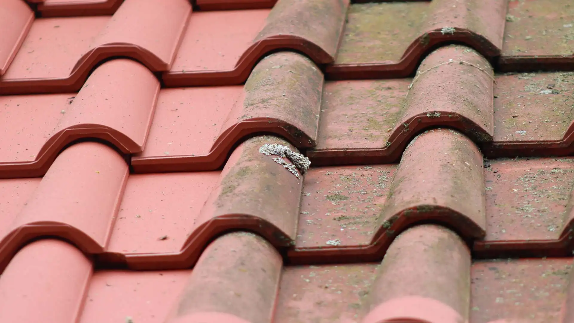 Comparatif avant-après d'un nettoyage et démoussage professionnel sur une toiture en tuiles terre cuite.