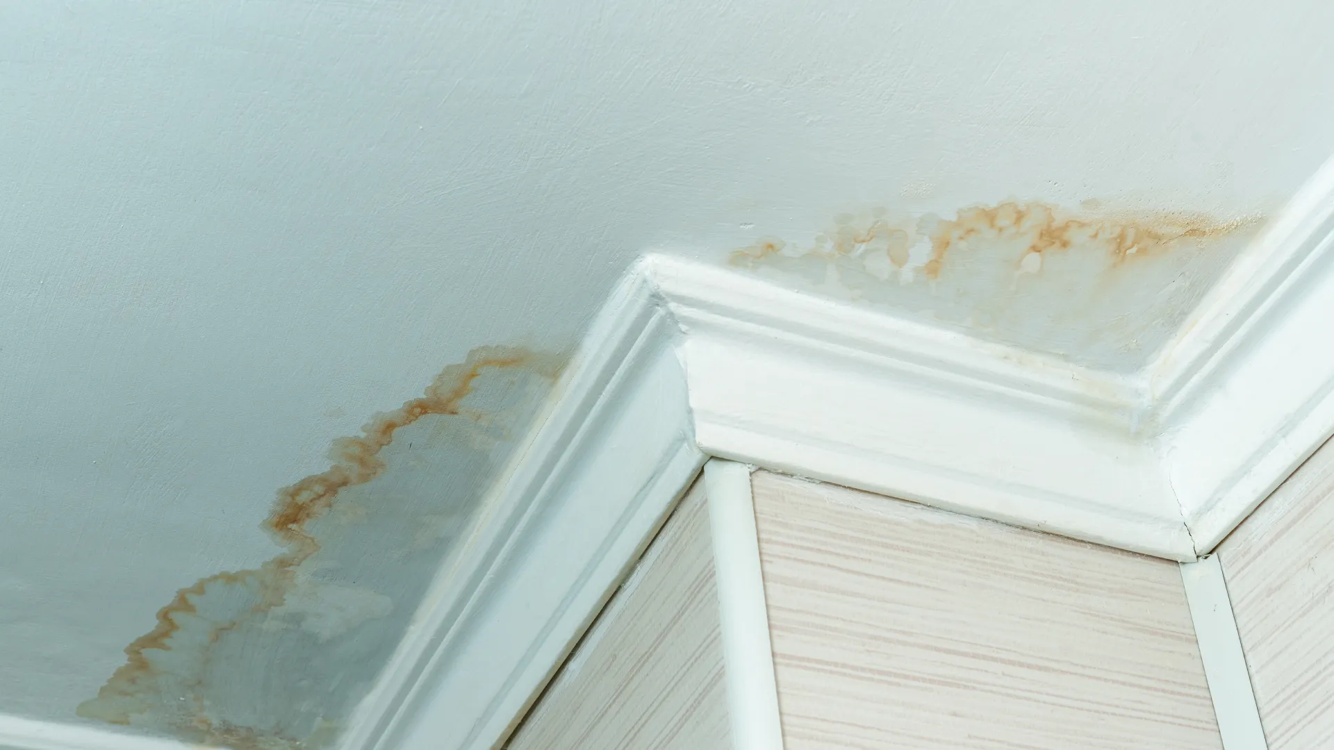 Taches d’humidité au plafond causées par une infiltration de toiture;